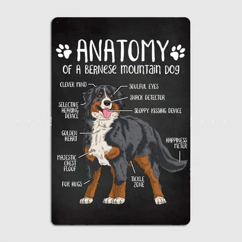 Anatomija Bernske Mountain Dog Kovinski Znak Stensko Slikarstvo Kino Dnevna Soba Kino Smešno Tin Prijavite Plakat